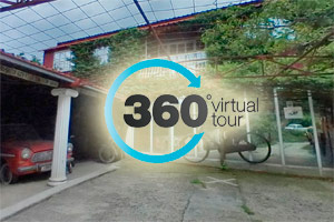 virtual 300 250